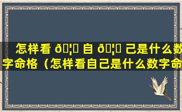 怎样看 🦟 自 🦊 己是什么数字命格（怎样看自己是什么数字命格的人）